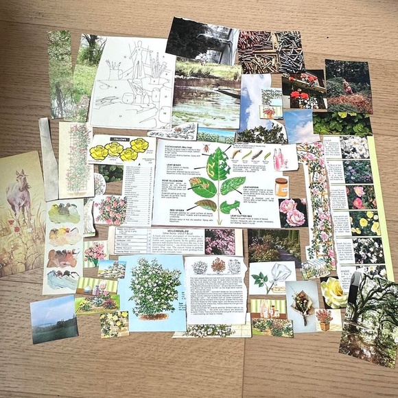 Vintage 50+ pcs Garden Art Themed Ephemera Collage Journal Kit - Picture 3 of 3